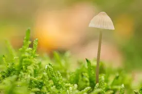 放下一个不爱你的人，最好的方式不是拉黑，而是看懂这件事图片