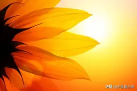 温阳才是降血脂最好的方法！中医：脾肾阳虚是根源图片