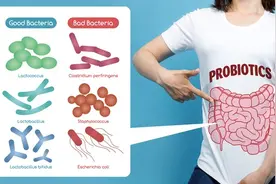 双歧杆菌、乳酸菌…各种不同的益生菌都对人体有哪些不同的作用？图片