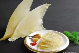 为什么人类只吃鱼翅，却很少听说吃鲨鱼肉？鲨鱼肉真的不好吃吗？图片