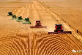 农民熬到了好时候，国家岀手建农场，农业发展将会岀现新的飞跃图片