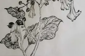 郑福田：词说清明图片