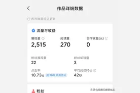 有没有人像我一样，发了文章却一分收益都没有，原来是这样图片