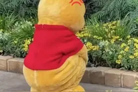 四级真题单词打卡(一)图片