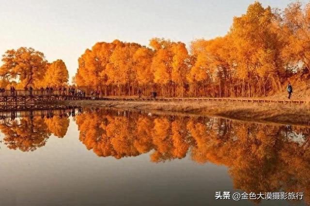 额济纳旅游攻略(去额济纳旗看胡杨林最佳时间)