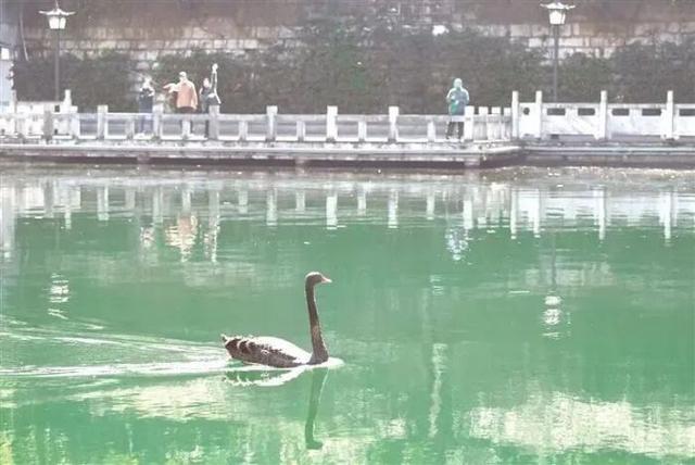 五彩南明！这几种颜色，藏着你不知道的诗意与浪漫