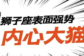 狮子座，反差萌，依赖感十足的大猫图片