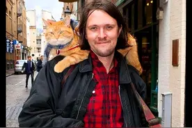 红遍全球的流浪猫鲍勃主人现状：曾靠猫猫买房，如今再次流落街头图片