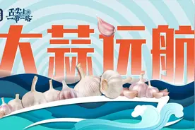 舌尖上的“一带一路”丨大蒜远航图片
