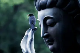 南山老人说：人的福气是有限度的，做完了这几件事就得受苦了图片