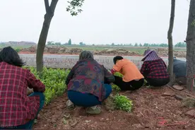 老话说：“人到六十有三兆，晚年添福又长寿”，是哪“三兆”？图片