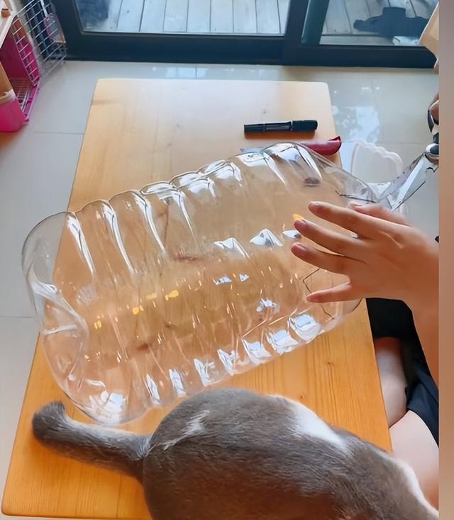 猫窝的制作方法介绍（小伙花20块钱制作简易猫窝）