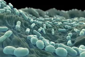 冰箱竟藏“杀人细菌”？李斯特菌到底可怕在哪？图片