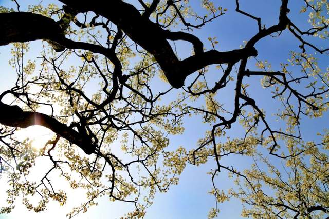 四川省民生研究会新媒体中心-官网