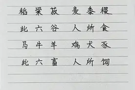 抄书打卡第216天图片