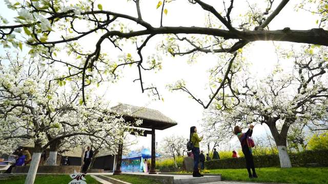 四川省民生研究会新媒体中心-官网