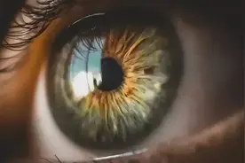 死人眼睛竟能复活？Nature：死后5小时捐赠者视网膜恢复功能图片