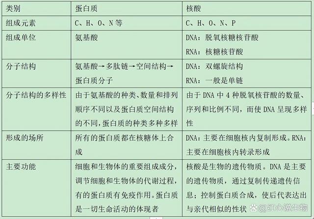 高中生物-基因的本质与表达