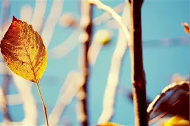 有关喜得贵子祝福语图片