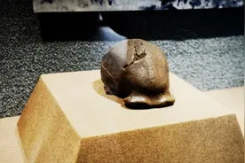 骇人伤痕揭露的可怕历史：北京猿人遭入侵，沦为食物后被灭绝图片