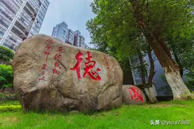 地为坤卦——六十四卦详解图片