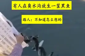 广东一女士往臭水沟放生黑鱼引热议，网友：伪善！钱多可以捐给我图片