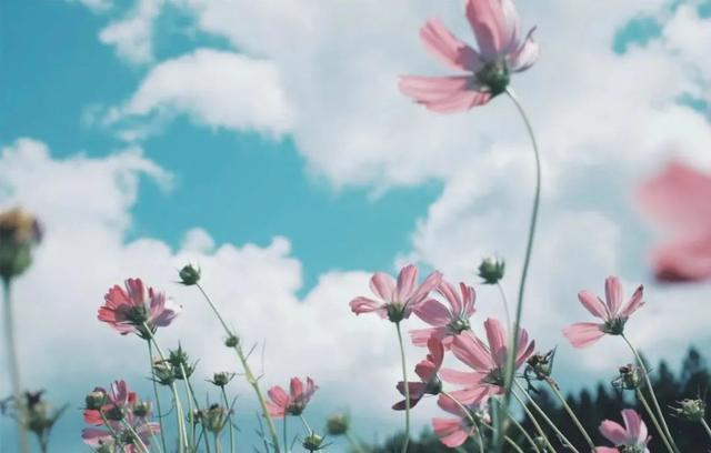 豪华别墅凶猛“闹鬼”，四川小伙成功破解