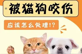 只是被狗狗牙齿蹭破一点皮出血要不要打狂犬疫苗？图片