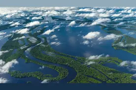 亚马逊河有多可怕，为何没有一座桥梁敢跨越它？还无人敢下水？图片