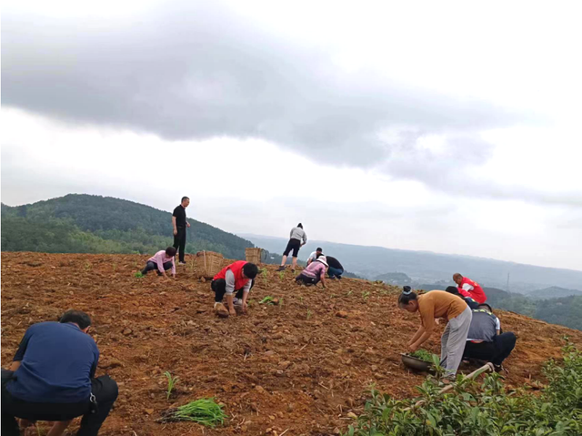 四川省民生研究会新媒体中心-官网