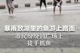 暴雨致湖里的鱼游上路面 市民纷纷到广场上徒手抓鱼图片