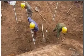 基坑支护技术-（土钉墙）图片