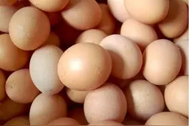 鸡蛋买回家，千万直接放冰箱！原来这么多年都做错了，看完长知识图片