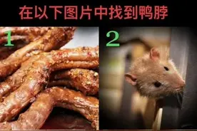 还没放过“鼠头鸭脖”的网友，玩出了今年最讽刺热梗图片
