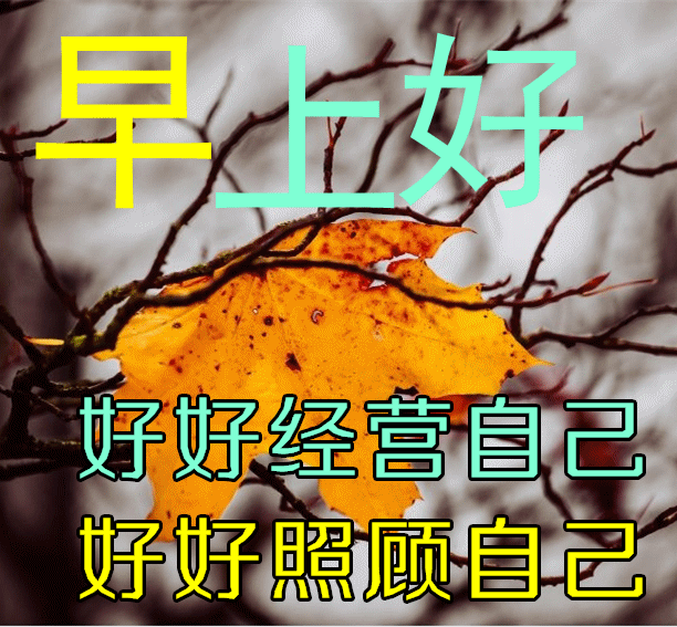 「2022.11.19」早安心语，正能量暖心语录句子 清晨激励人心的图片