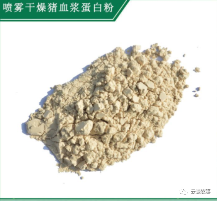 养猪的常用饲料介绍（专业文章建议收藏）