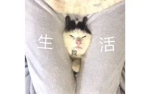 高德地图，中年人的自我救赎图片