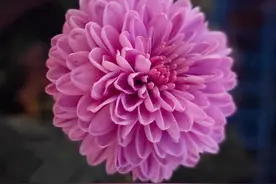 优秀作品：你就是那一束光图片