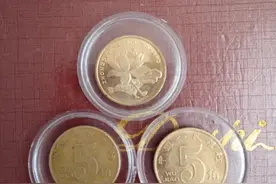 佩戴花形图案的钱币图片