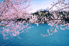 人生有三正：心正、念正、身正图片