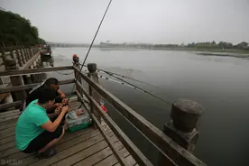 “泥鳅钓鱼”为何人人喊打？3天钓空水库，比电鱼危害还大？图片