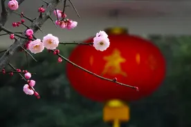 除夕：致我最爱的人图片