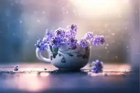 人到晚年，别欠人情债，需要及时随这五种份子钱图片