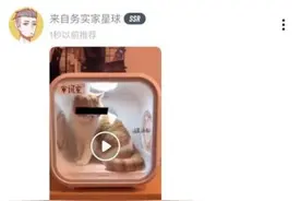 Soul张璐开创全新社交理念 引领Z世代社交新潮图片