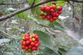 中国新药突破，让抑制新冠病毒，多了前所未有机会，已获发明专利图片