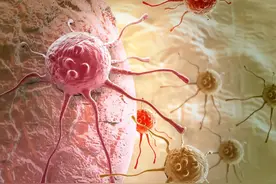 猫咪常见肿瘤有哪些？怎么治疗？图片