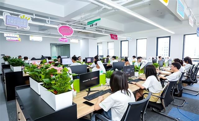 ��è����Ӫ��˾������