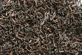 古树普洱茶价格表图片