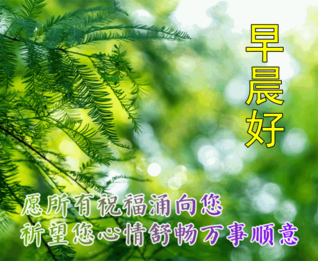 快乐祝福早安动态表情包 每天早上好动态祝福片