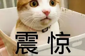 数学史上第一“天团”：祖孙三代连出8位数学家图片